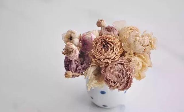 鲜花怎么做成干花，怎么把送的玫瑰花做成干花