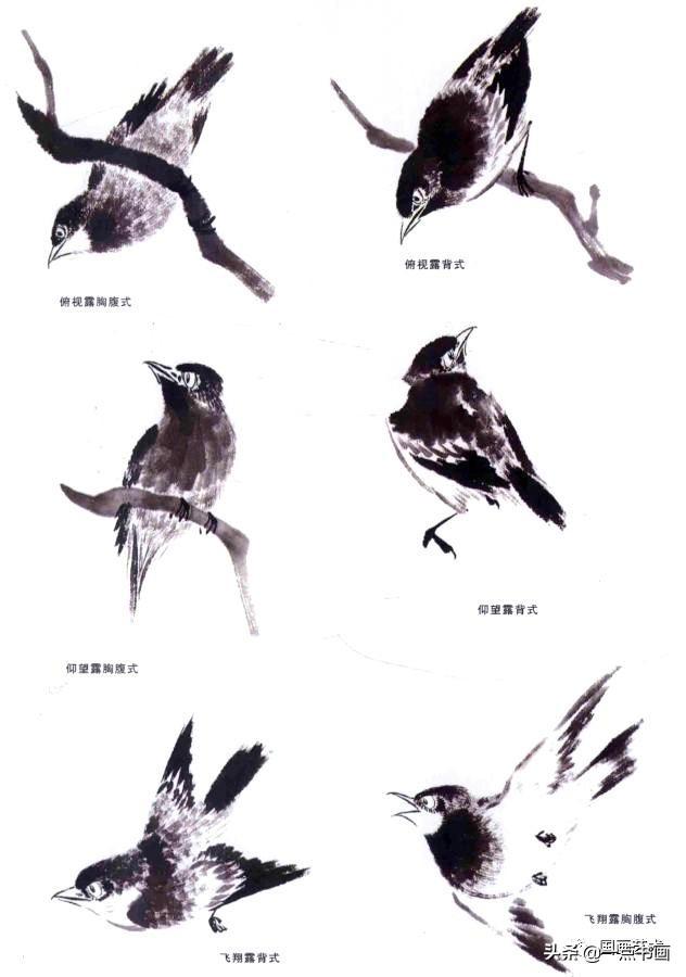 詹仁左写意鸟的画法，国画教程：写意仙鹤画法