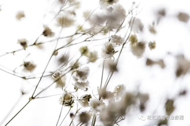 简单的插花零基础易上手花艺培训，简单易学的插花教程