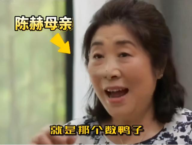 陈赫晒一家四口合照原声，安安穿水晶鞋像小公主
