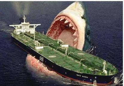 巨齿鲨和大白鲨有什么不一样，巨齿鲨和大白鲨的区别和关系