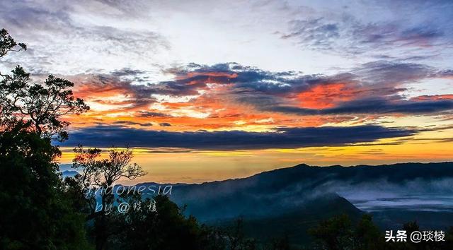 世界上的主要火山带分布在哪里，在全球四大火山带之一