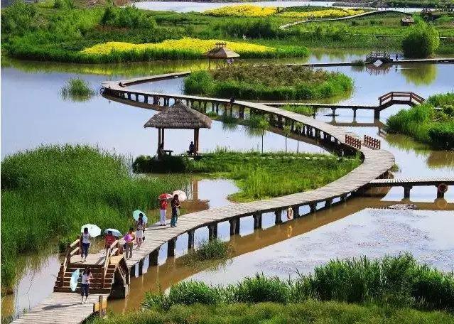 济宁10年内发展规划详图，济宁最新项目规划出炉