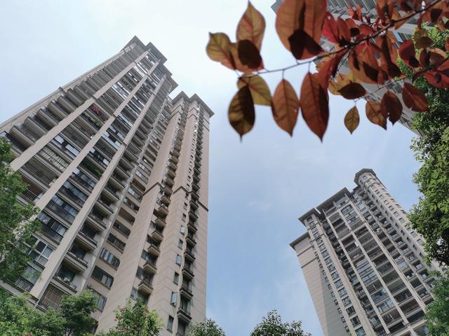 荣耀新旗舰x10，超能5G旗舰荣耀X10