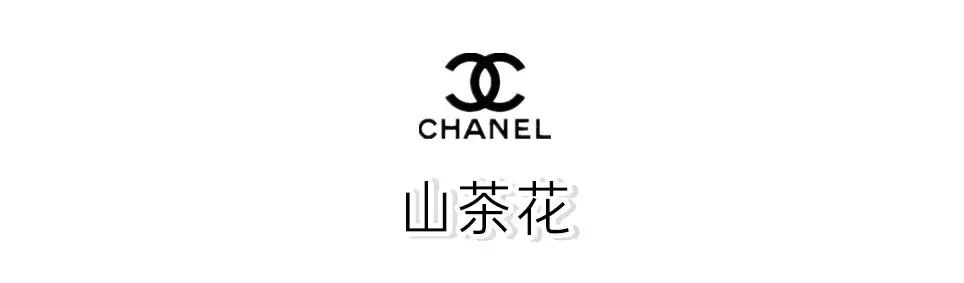 香奈儿包包所有款式和价格，chanel所有包包款式