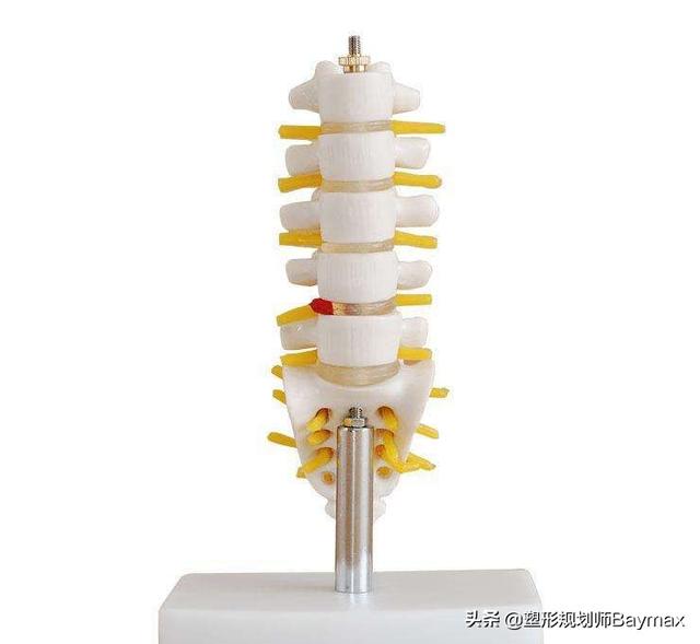 怎么锻炼转腰，左右转腰是很好的放松和热身动作