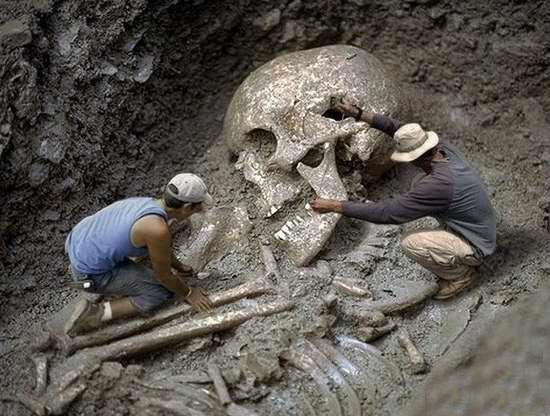 世界上有没有远古巨人，巨人传说中的泰坦巨人真存在