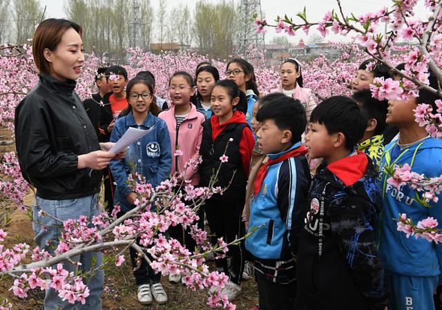 教师职称评定迎来大变动，中小学教师工资、职称将迎来新变化
