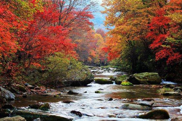 辽宁旅游必去的地方是哪里，辽宁这几处网红打卡景点
