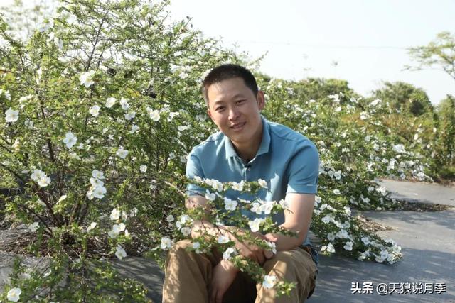 蔷薇月季的优缺点，家里来盆蔷薇花