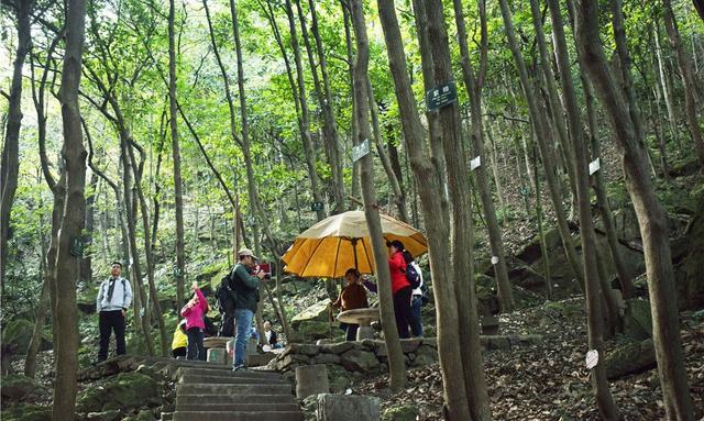马仁奇峰风景区，芜湖马仁奇峰游玩攻略