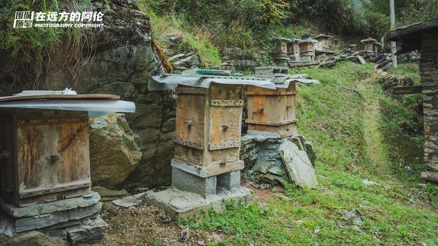 重庆环线自驾游最佳线路，5天打卡4座县城7个景点