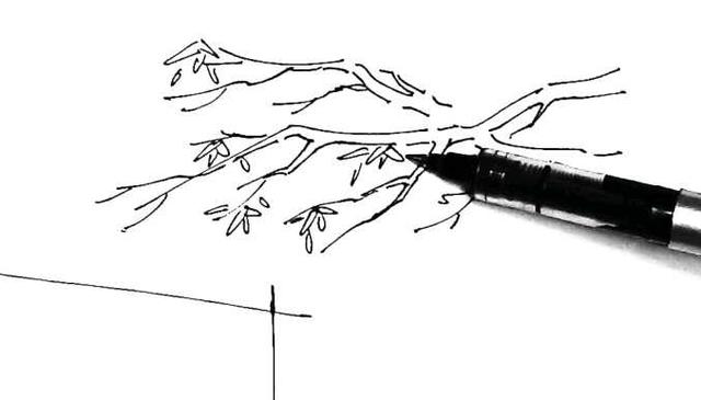 40种画树简易画法，树的手绘很难画