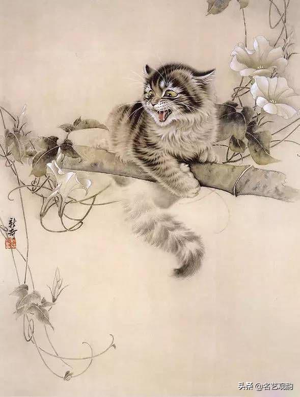 100种小猫怎么画，100种画真猫的画法（教你在纸上养个主子）