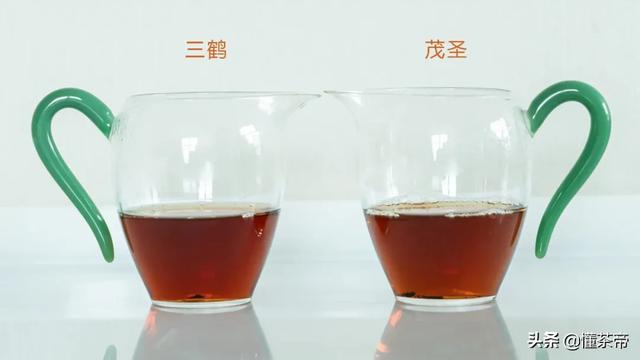 六堡茶有几种品质，评测六堡茶最知名两大品牌硬核PK