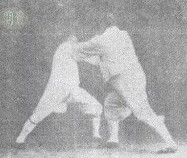 太极虎真实力量，豹虎非抱虎