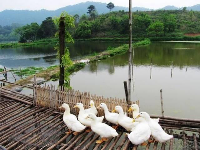 梧州有什么好玩的地方旅游景点，梧州的旅游景点大全