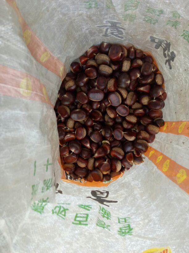 野生的板栗怎么吃，吃过野生板栗吗