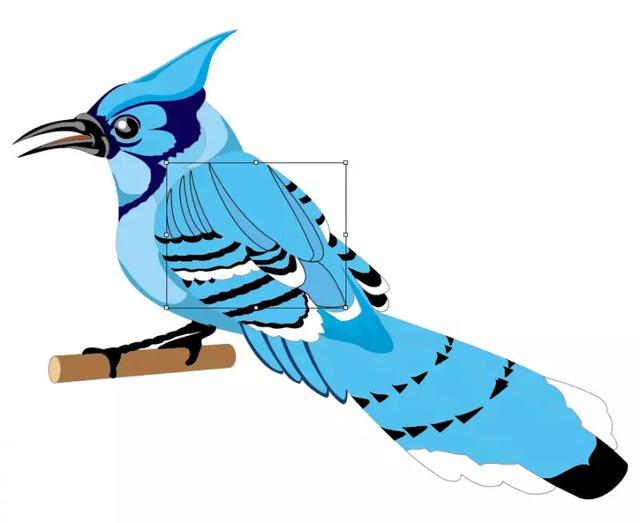 illustrator 如何做矢量图，Ai教程：快速入门Adobe