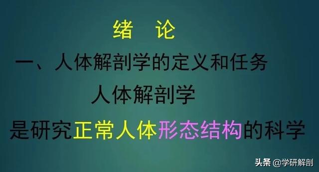 人体解剖学基础，人体解剖学基础知识学什么（基础知识之人体解剖学基础）