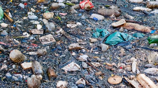 土葬多久会腐烂，土葬棺材里尸骨多少年腐烂（土葬的人从肉体变成白骨的时间大约是多久）