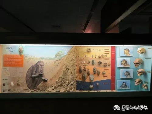 津巴布韦总统现状，津巴布韦总统埃默森·姆南加古瓦在“杂交水稻援外与世界粮食安全”国际论坛上的致辞