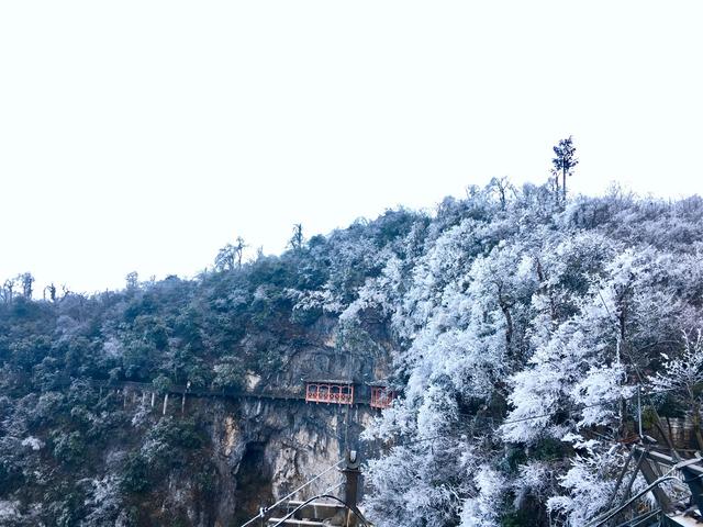 稚子弄冰诗配画，关于冬天的雪梅的古诗配画（帮孩子收藏的古诗配画模板）