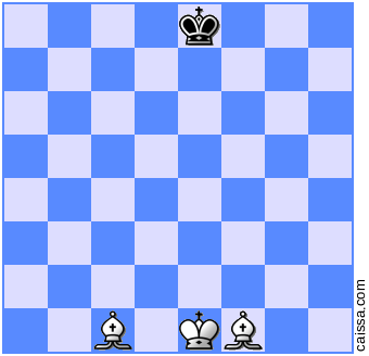 国际象棋七步杀教程，国际象棋基础知识之双象杀王