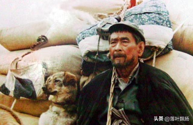 感动全球的几大狗狗电影，感动全球的九大狗狗电影