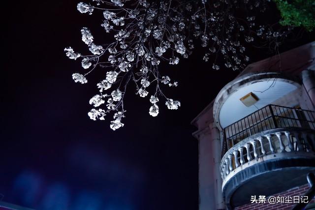 恐怖微小说一千字左右（恐怖小说短篇小说：幽灵照片）