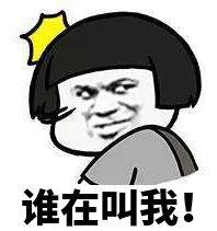 电梯维保单位管理服务平台，电梯维保服务管理平台登录