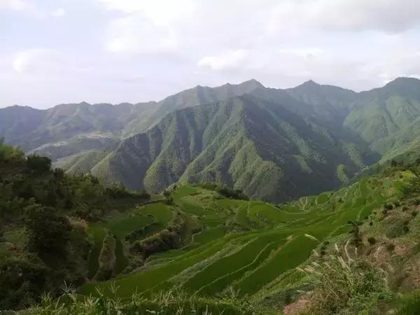 芜湖景点有哪些值得去玩的，芜湖必去的景点（这里经典必游的六个地方）