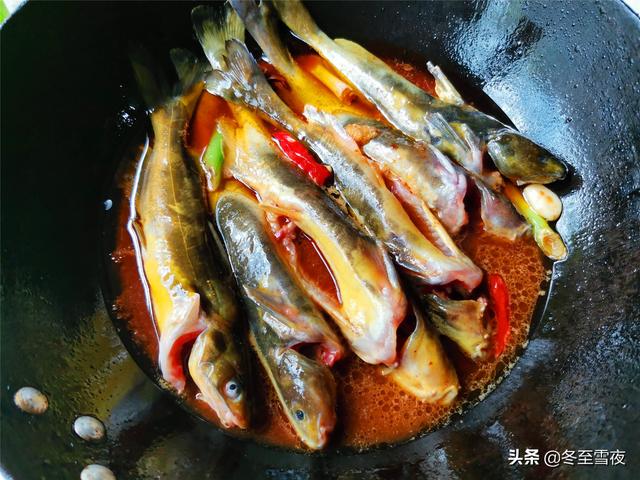 牛尾鱼的做法窍门，东北牛尾巴子鱼的做法