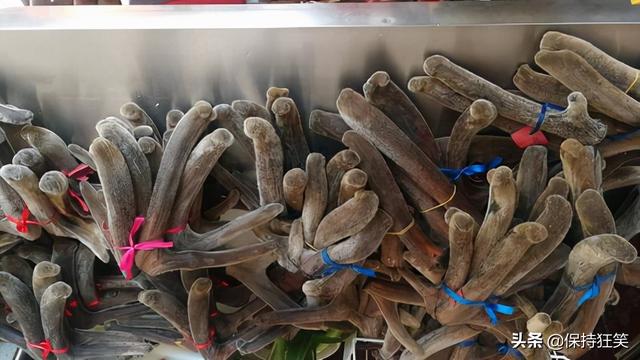 吉林特产排行榜前十名，吉林省十大特产