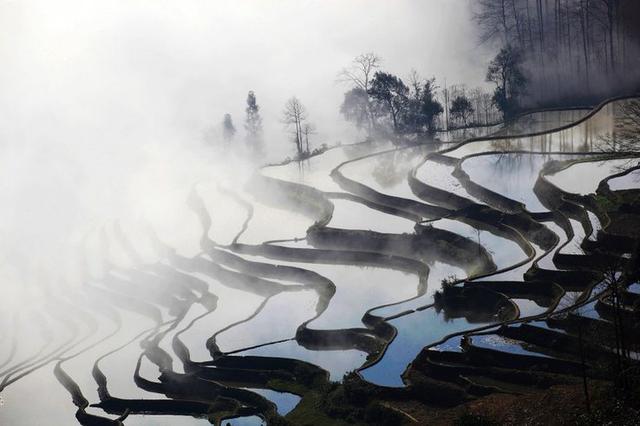 云南人的永久记忆，云南人为何愿做