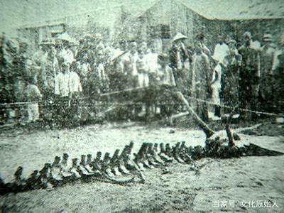 西游记里的井龙王，西游记东海龙王的真实身世