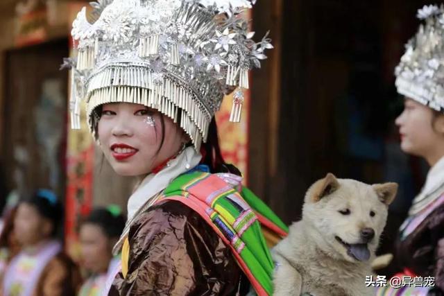 少数民族抬狗节，全世界最宠狗的民族