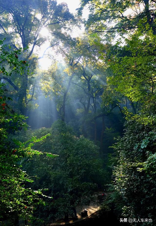 天下闻名岳麓书院，千年岳麓书院背靠麓山