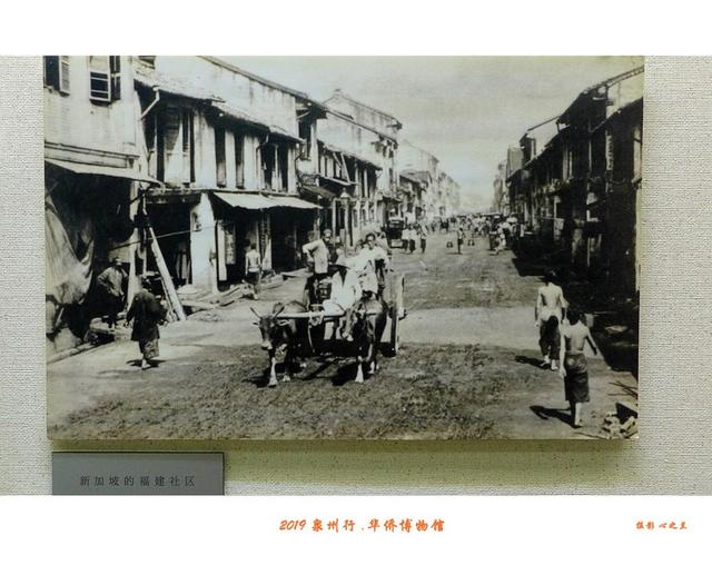 泉州这座博物馆满城皆是宝藏，山海画廊人间福地