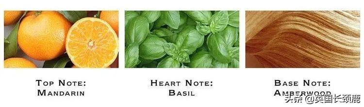 英伦风国际大牌香水，属于英国的香水不止Jo