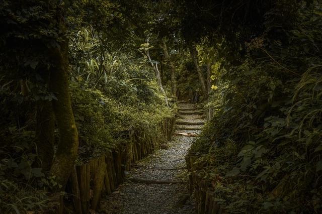 大陈岛旅游攻略浙江，台州旅游攻略沉溺在大陈岛的海天一线