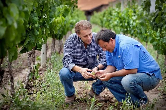 225年代代相传的阿尔萨斯名庄，阿根廷一级名庄