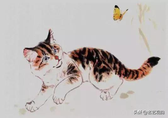 100种小猫怎么画，100种画真猫的画法（教你在纸上养个主子）