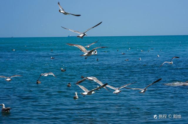 威海最著名的三个景点，威海10大必玩景点