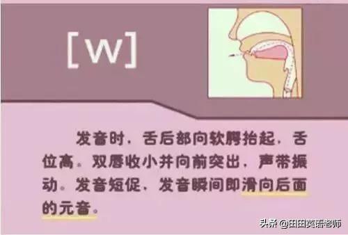 英语音标怎么学，初学英语者必看如何学习国际音标（资深老教师说：音标就该这样学）