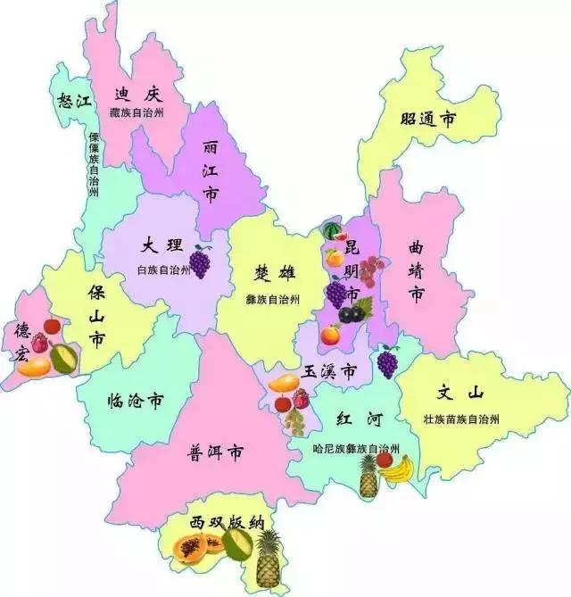 云南水果特產有哪些,云南特產有哪些水果(盤點云南那些奇奇怪怪的水果) 云南水果特產有哪些,云南特產有哪些水果(盤點云南那些奇奇怪怪的水果)