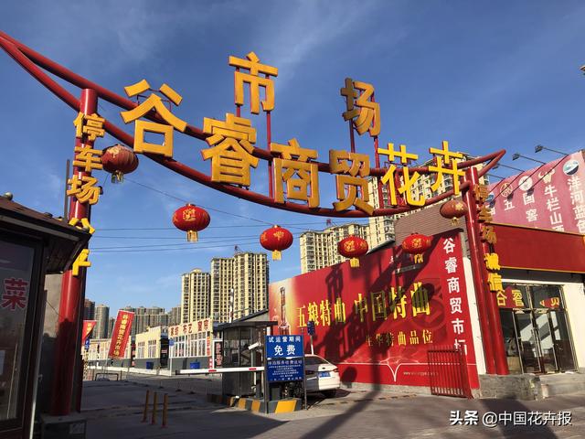 北京花卉批发市场，北京花卉批发市场什么时候开业（北京宝藏花卉市场）