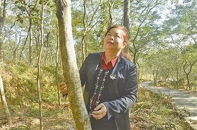 荒山野岭农场现状，兄弟俩买下300亩山头给孩子造农场