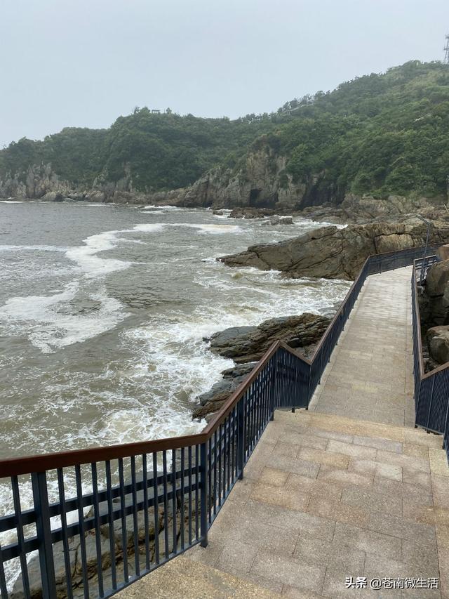 苍南渔寮吃住行玩疗，苍南渔寮沙滩在哪里