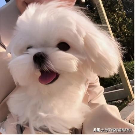 第一次送异地恋女朋友礼物好,送女朋友什么生日礼物有创意